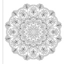 Mandala - by Wonder House Books (Paperback)