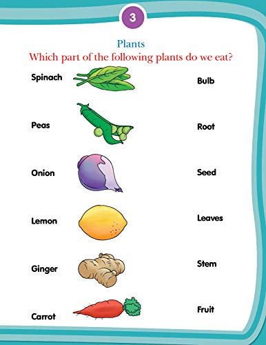 Kids 4th Activity 6+ - Environment