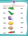 Kids 4th Activity 6+ - Environment