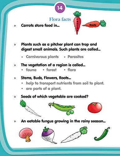 Kids 4th Activity 6+ - Environment