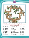 Kids 4th Activity 6+ - Environment