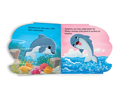 My First Shaped Board Book: Dolphin