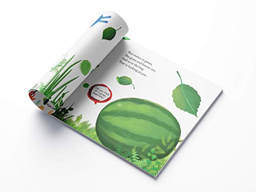 Creative Crayons: Colors : Crayon Copy Colour Books (Paperback)