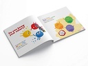 Creative Crayons: Colors : Crayon Copy Colour Books (Paperback)
