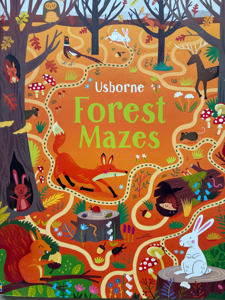 Usborne Forest Mazes