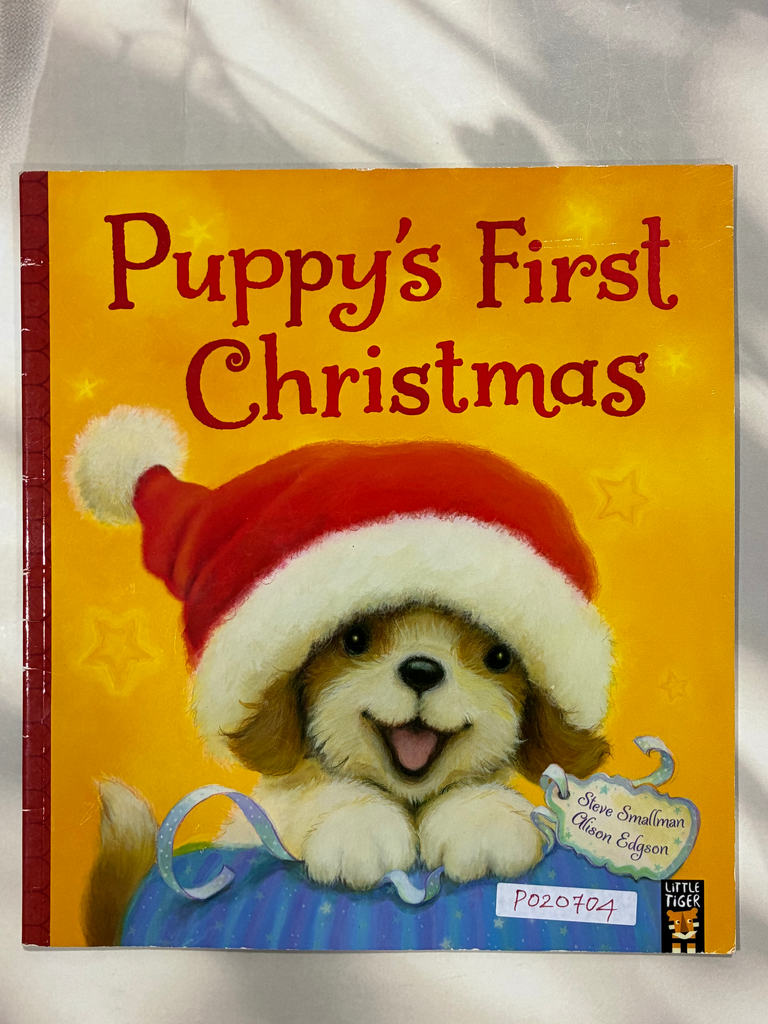 Puppy’s first christmas 
