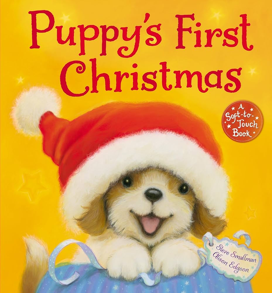 Puppy’s first christmas