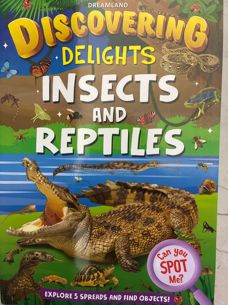 Discovering Delights - Insect and Reptiles