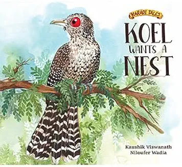 Koel wants a nest