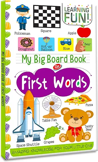My Big board book of first words