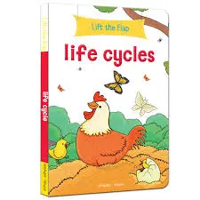 lift the flab life cycles 