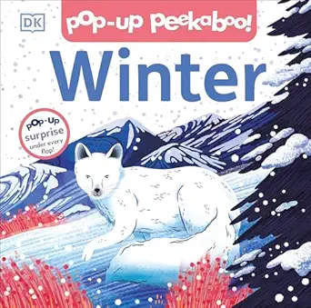 Pop-up Peekaboo! Winter (Board Book)