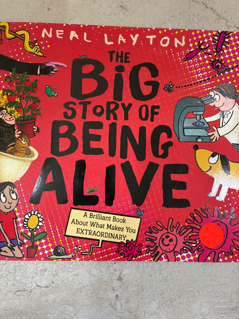 Neal Layton the Big Story of Being Alive (Paperback)