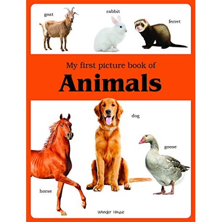 My First Book of: My First Book of Animals (Paperback)
