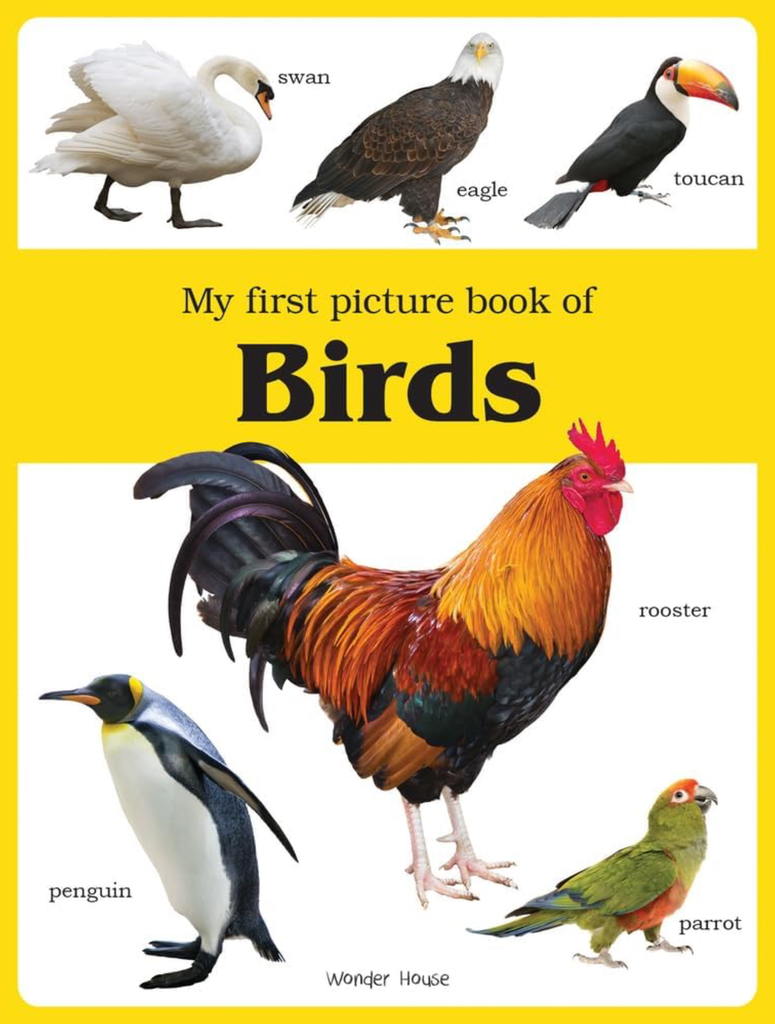 My First Book of: My First Book of Birds (Paperback)