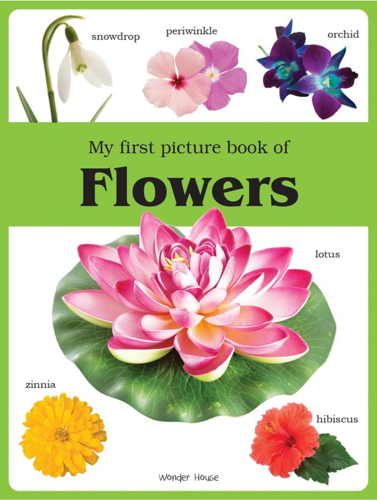 My First Book of: My First Book of Flowers (Paperback)