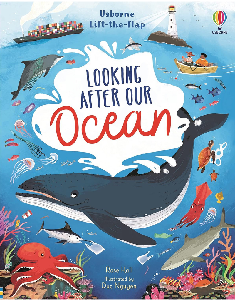 Lift-the-flap Looking After Our Ocean