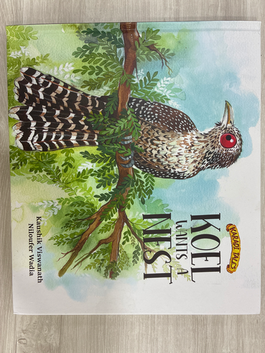 Koel wants a nest