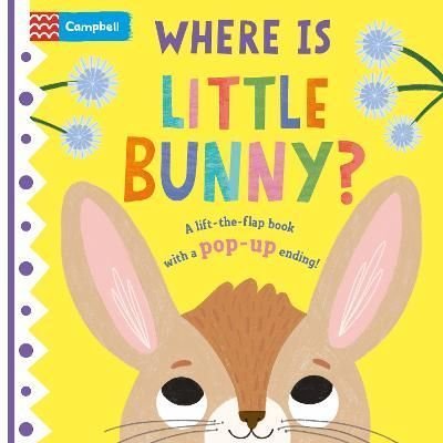 Campbell Books Where Is Little Bunny? (Board Book)
