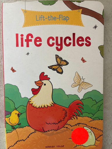 lift the flab life cycles 