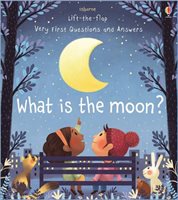 Lift the Flap Very First Questions Answers What Is the Moon Board Book