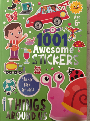 1001 Awesome Stickers Things around us 